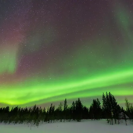Arctic Cozy Rovaniemi