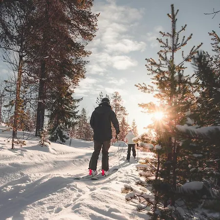 Arctic Cozy *